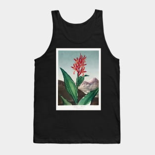 Indian Reed Tank Top